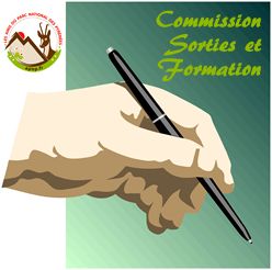 CR réunion des sorties et de la formation – 04.04.2025