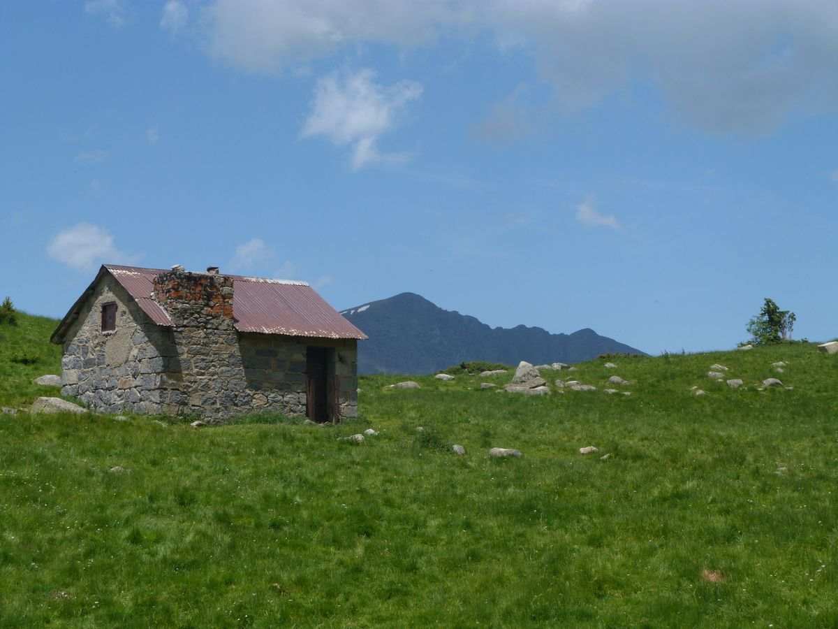 31-05-2025 Photos A. Astuguevieille – Plateau du Lisey pour observation des marmottes avec D. Dabbadie et S. Fraysse